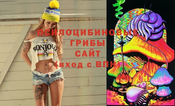 PSILOCYBIN Остров