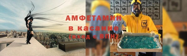 стаф Вязьма