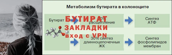 индика Володарск