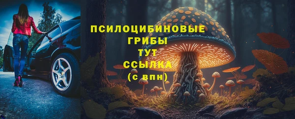прущая мука Осинники