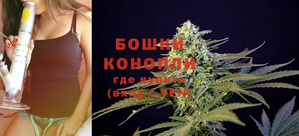 PSILOCYBIN Остров