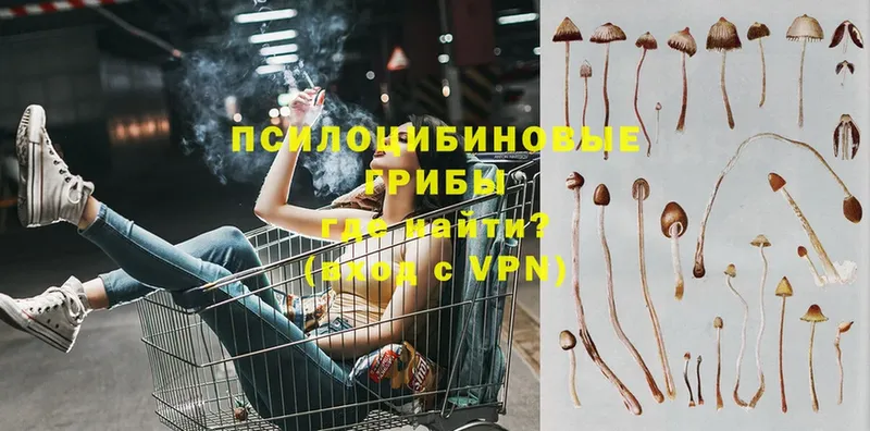 это клад  Заполярный  Псилоцибиновые грибы Psilocybe  где купить наркоту 