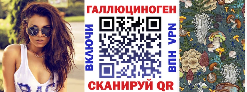 магазин продажи наркотиков  Заполярный  Псилоцибиновые грибы MAGIC MUSHROOMS 